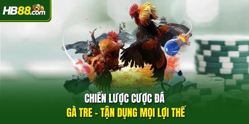 Chiến lược cược đá gà tre - Tận dụng mọi lợi thế