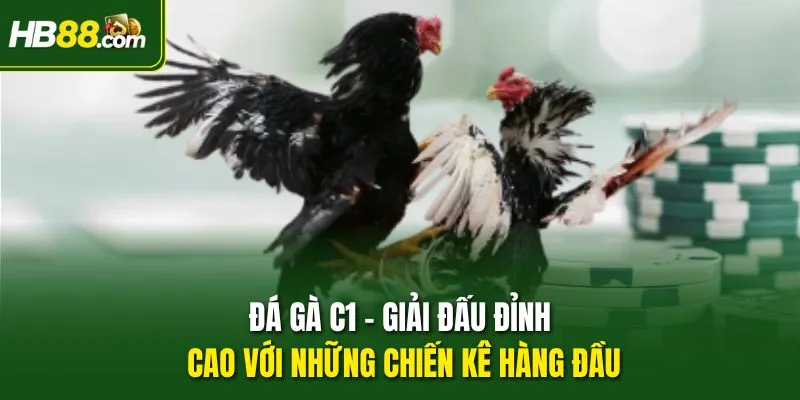 Đá Gà C1 – Giải Đấu Đỉnh Cao Với Những Chiến Kê Hàng Đầu