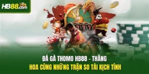 Đá Gà Thomo HB88 - Thăng Hoa Cùng Những Trận So Tài Kịch Tính
