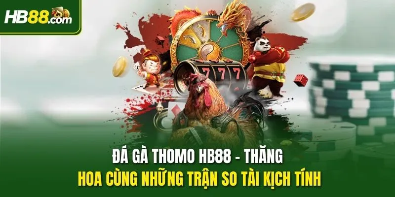 Đá Gà Thomo HB88 - Thăng Hoa Cùng Những Trận So Tài Kịch Tính