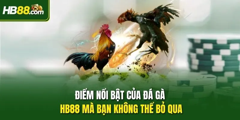 Điểm nổi bật của Đá gà HB88 mà bạn không thể bỏ qua