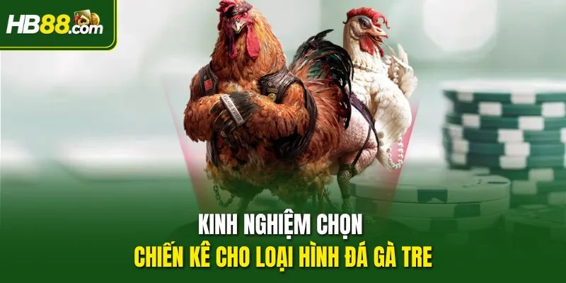 Kinh nghiệm chọn chiến kê cho loại hình đá gà tre