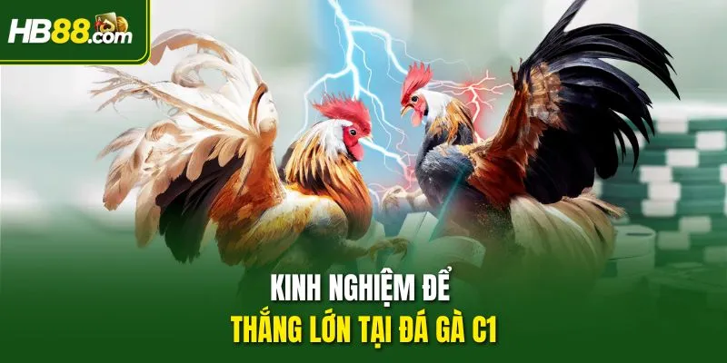 Kinh nghiệm để thắng lớn tại Đá Gà C1
