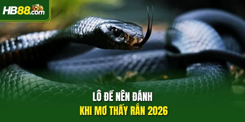 Lô đề nên đánh khi mơ thấy rắn 2026