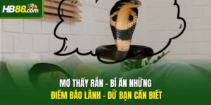 Mơ Thấy Rắn - Bí Ẩn Những Điềm Báo Lành - Dữ Bạn Cần Biết