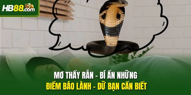 Mơ Thấy Rắn - Bí Ẩn Những Điềm Báo Lành - Dữ Bạn Cần Biết