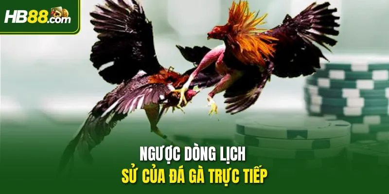 Ngược dòng lịch sử của Đá gà trực tiếp
