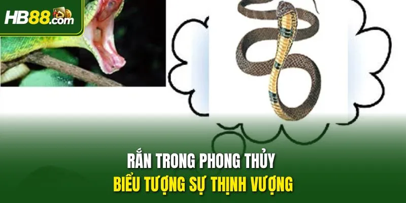Rắn trong phong thủy - Biểu tượng sự thịnh vượng