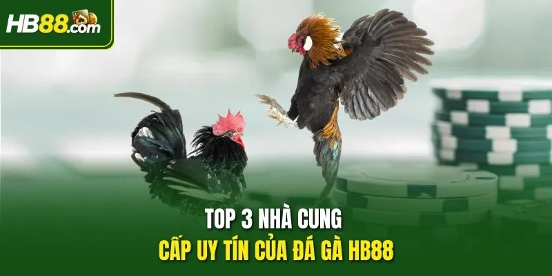 Top 3 nhà cung cấp uy tín của Đá gà HB88