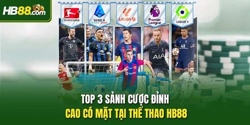 TOP 3 sảnh cược đỉnh cao có mặt tại Thể thao HB88