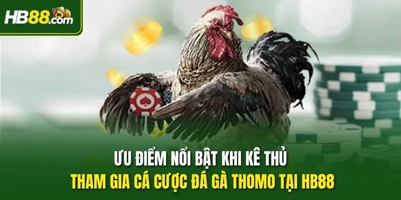 Ưu điểm nổi bật khi kê thủ tham gia cá cược đá gà Thomo tại HB88